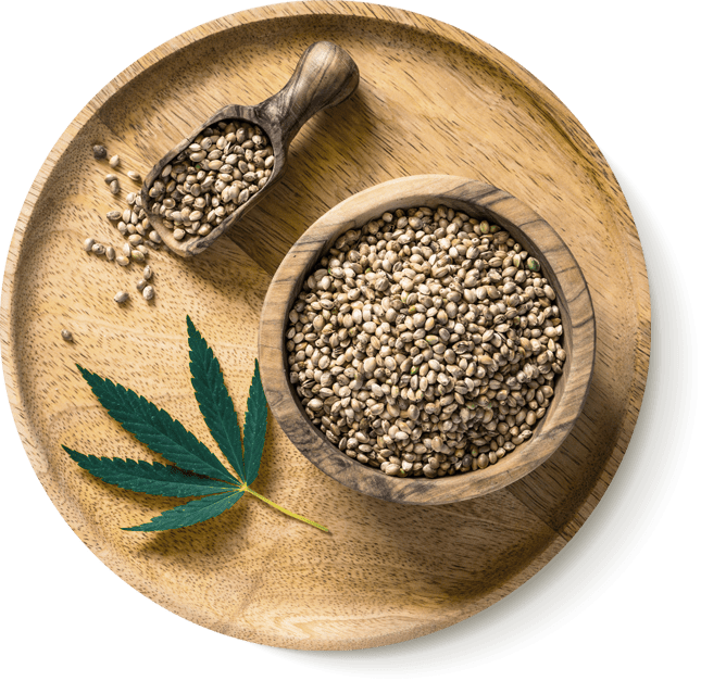 seminte de Cannabis